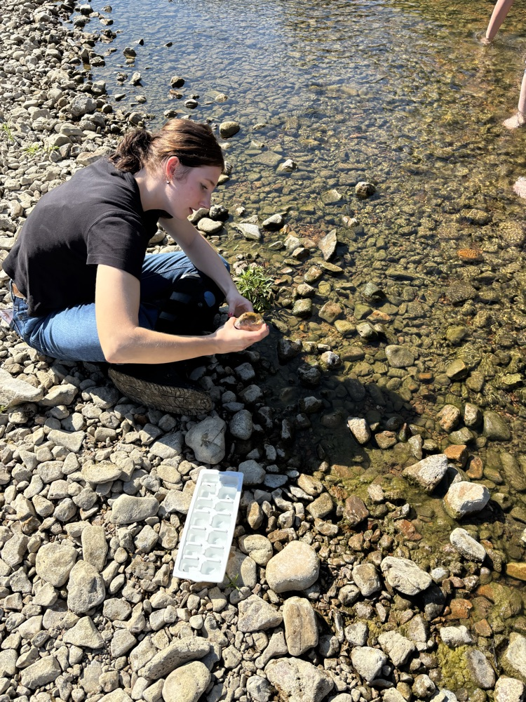 Stream Ecology 3