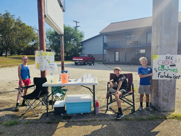 Entrepreneurial Cougars!