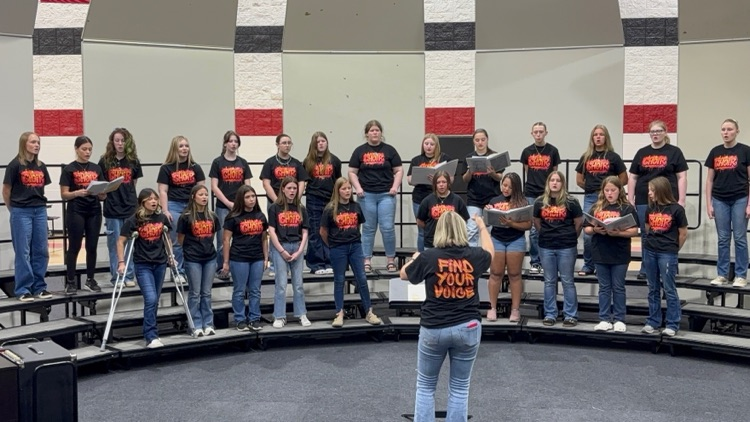 Performance at Ozark HS