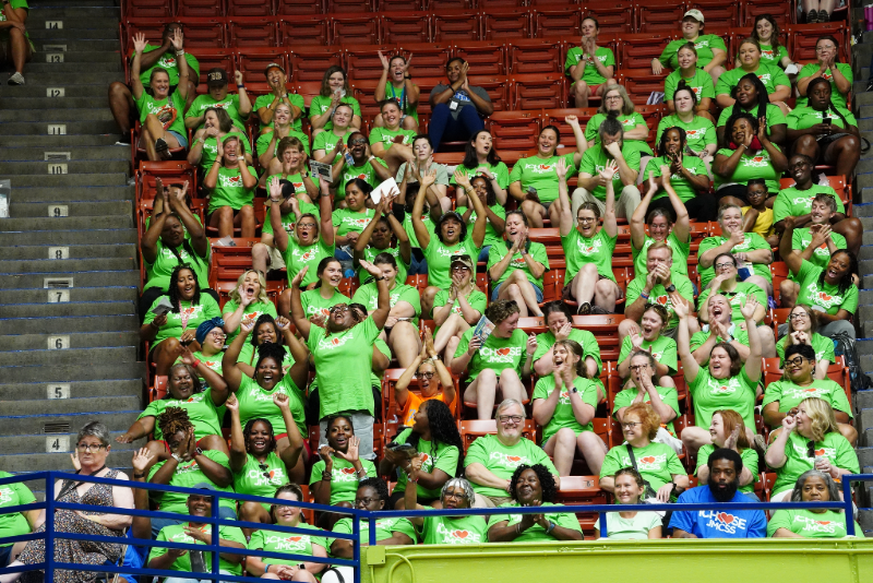 Cheering Crowd