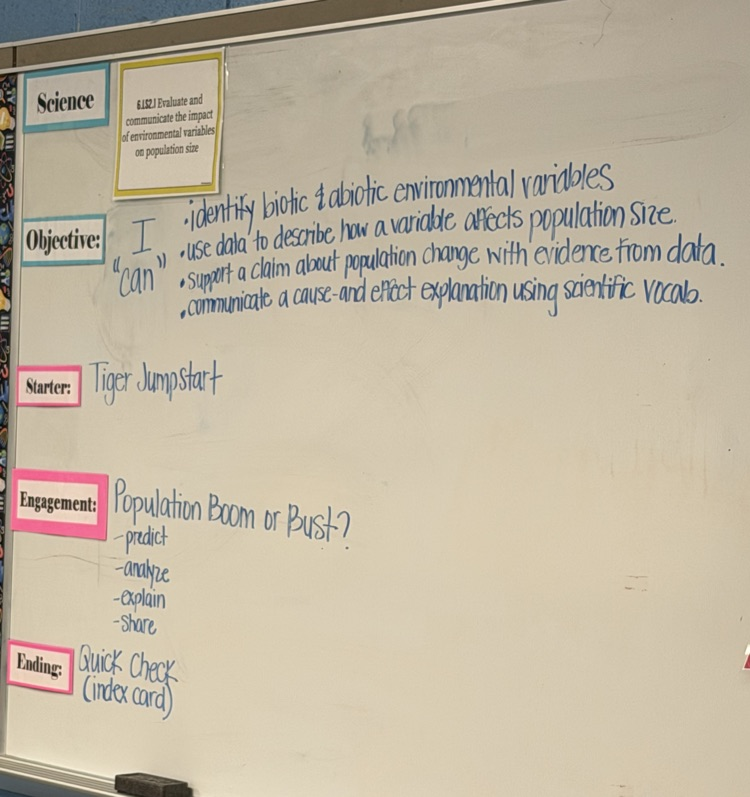 Coach Gabby makes complex science concepts engaging and easy for sixth graders to understand. She teaches environmental variables and rabbit populations by encouraging students to observe, predict, analyze, and think like real scientists.