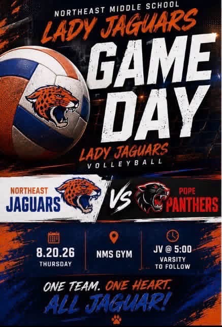 volleyball game 8/20