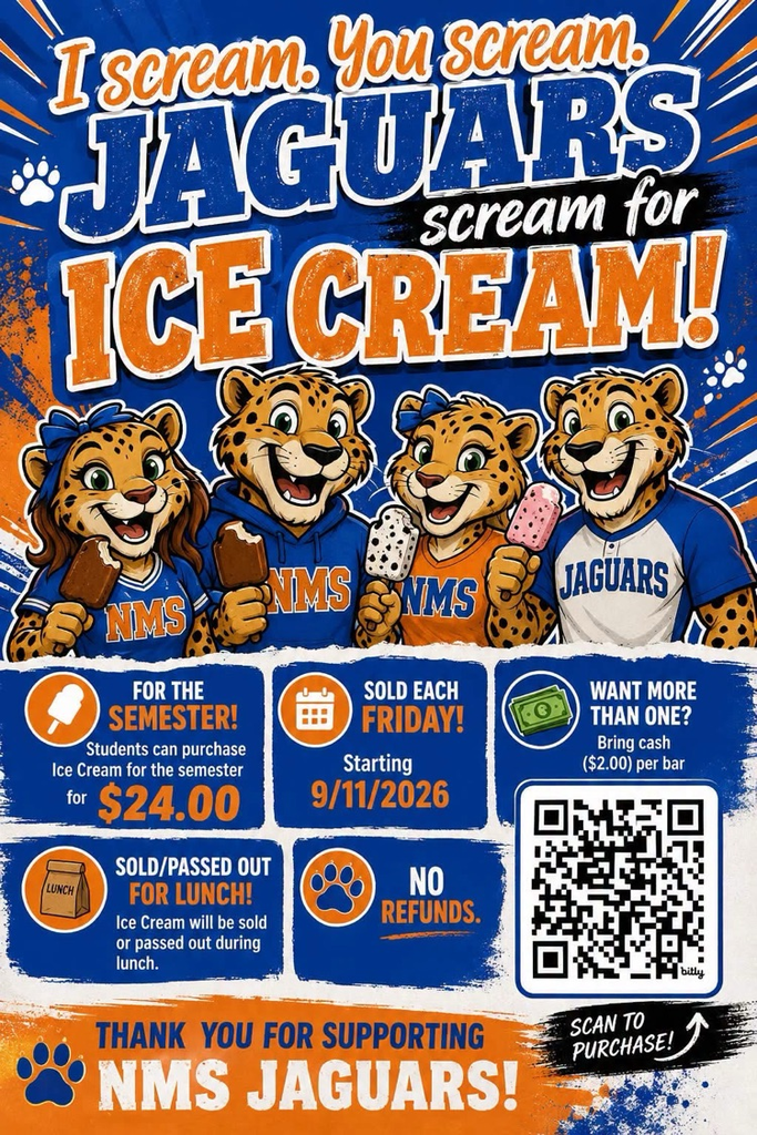 NMS Icecream Sales