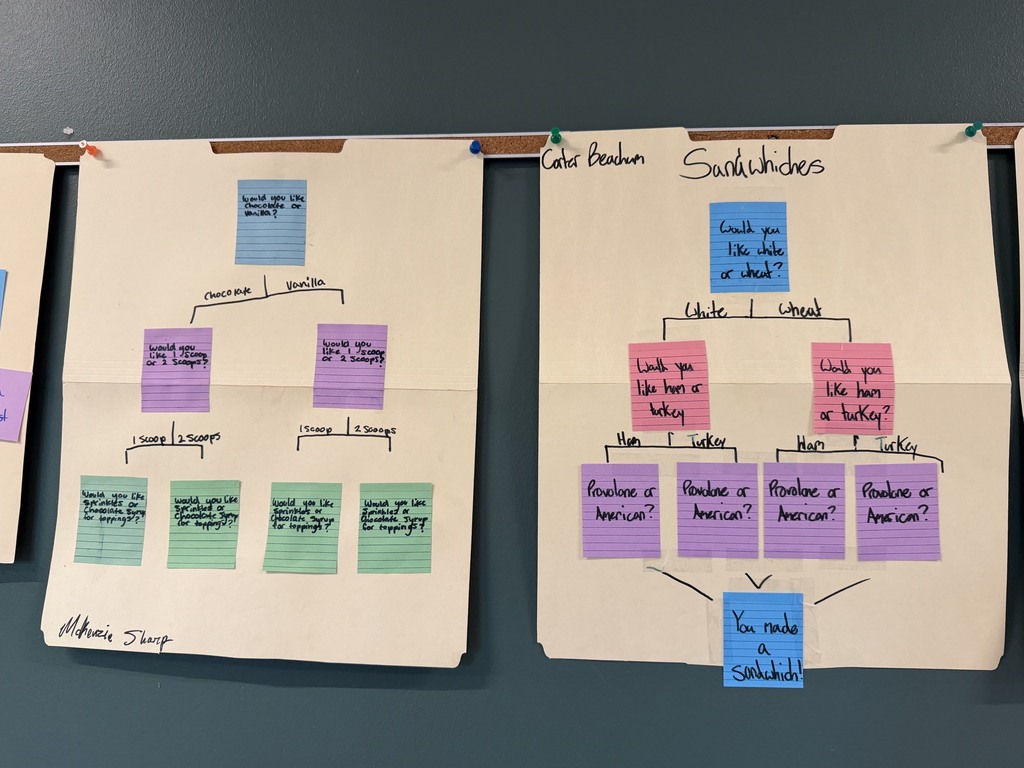 Student Work Spotlight: Decision Trees
