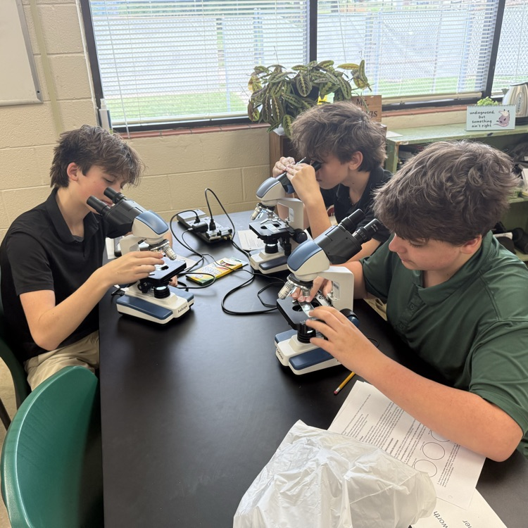 microscope lab