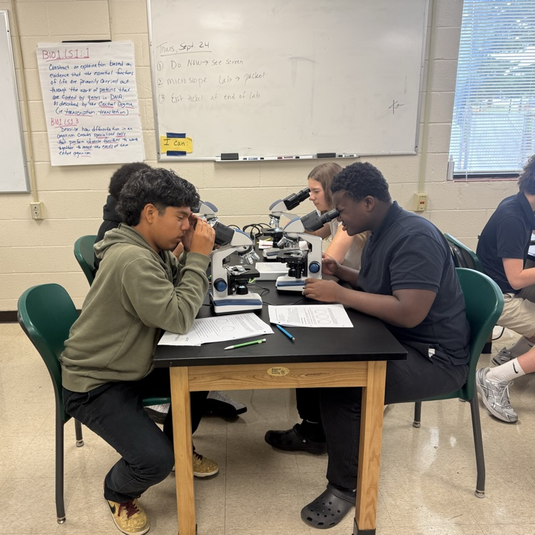 microscope lab