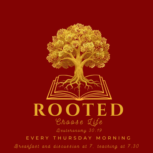 rooted