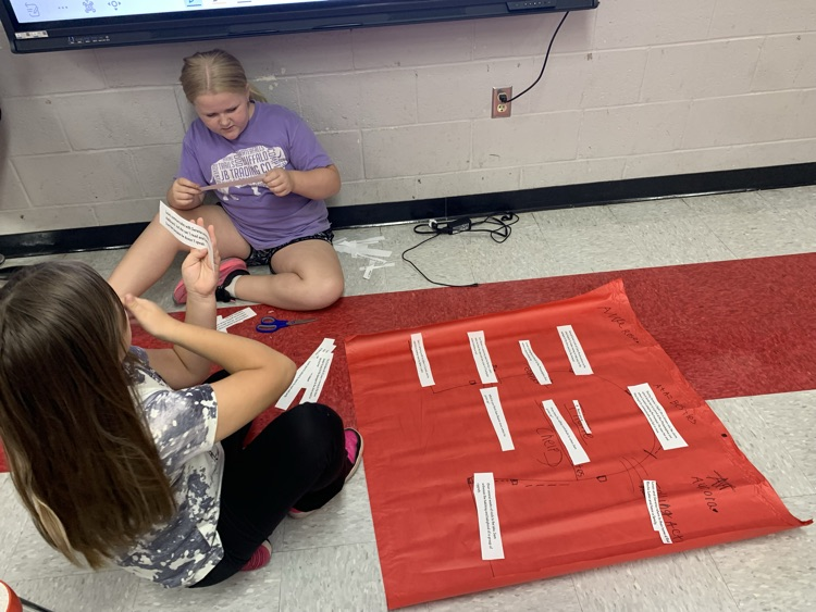 4th grade Literacy completing plot mountain after reading Trumpet of the Swan