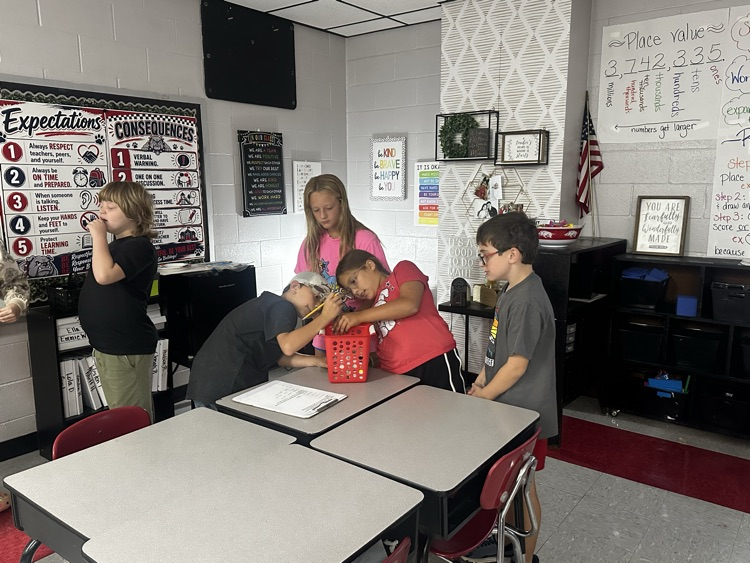 estimating and then measuring in cm