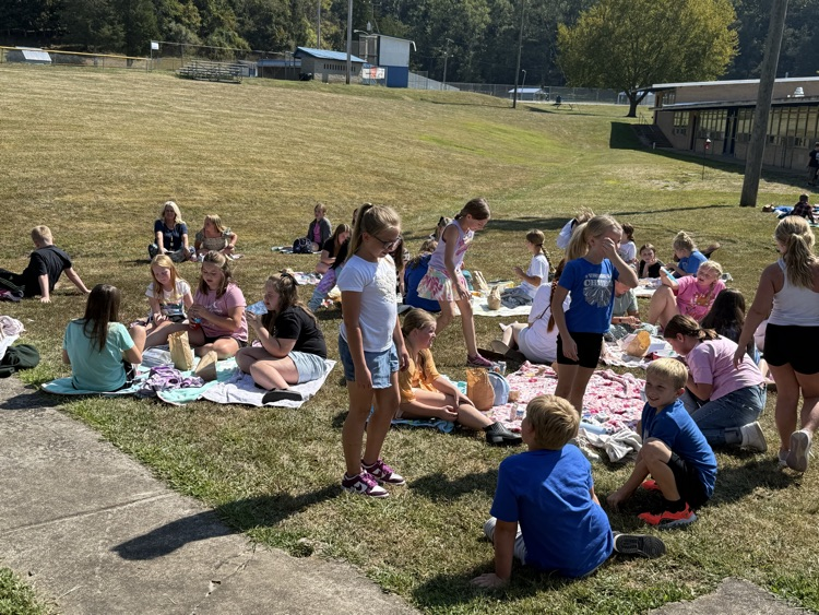 picnic