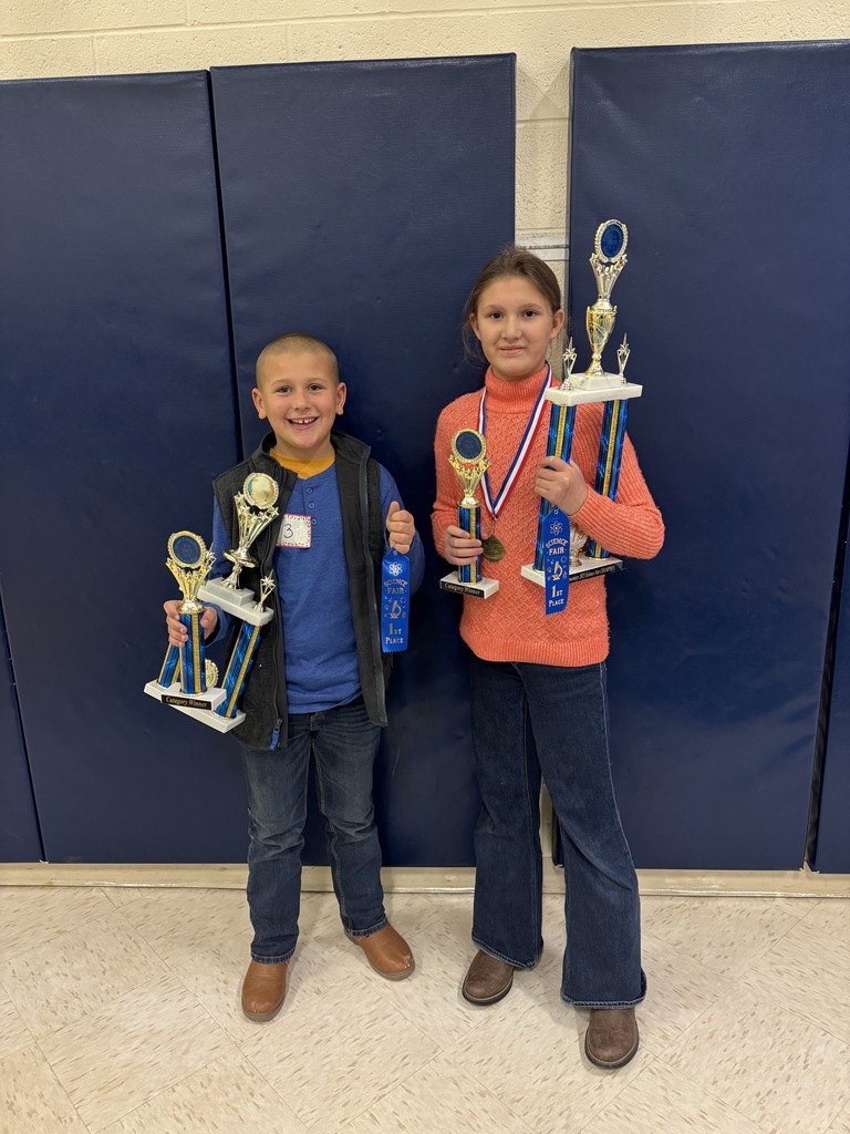Overall winner and runner-up top scores in the KES Science Fair