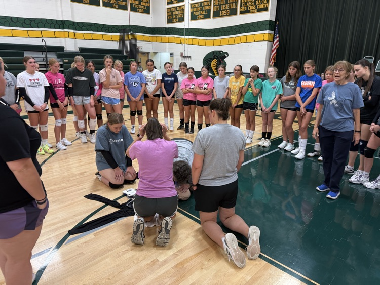 Volleyball