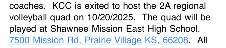 volleyball info