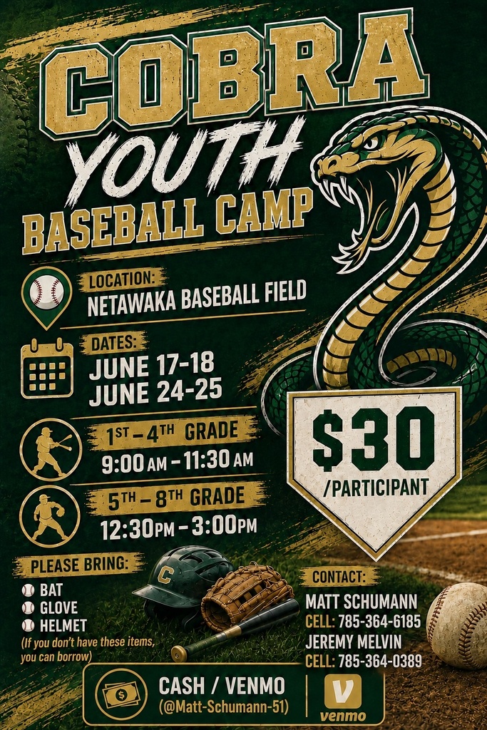 Baseball Camp