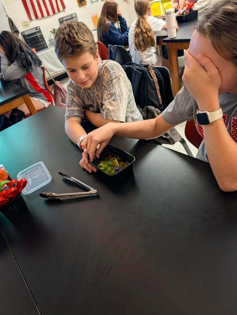 Science Immune System Lab