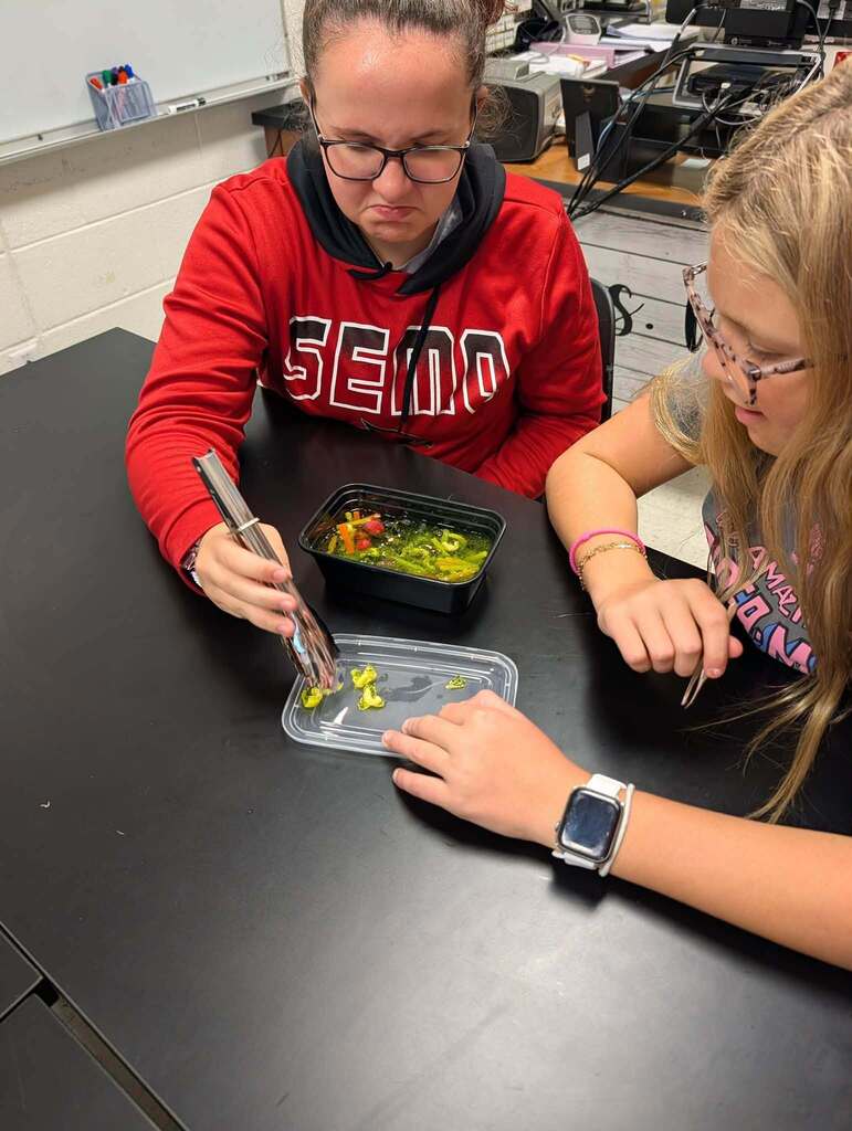 Science Immune System Lab