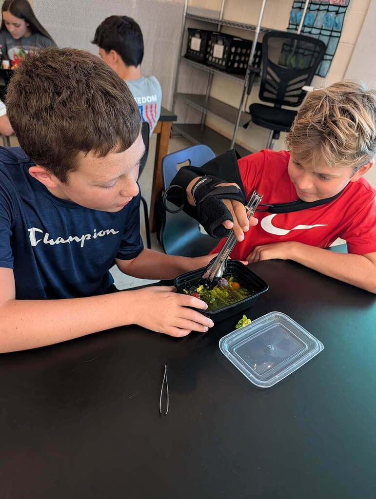Science Immune System Lab