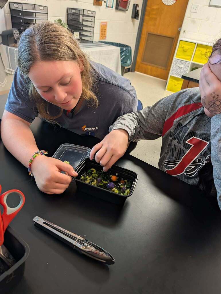 Science Immune System Lab