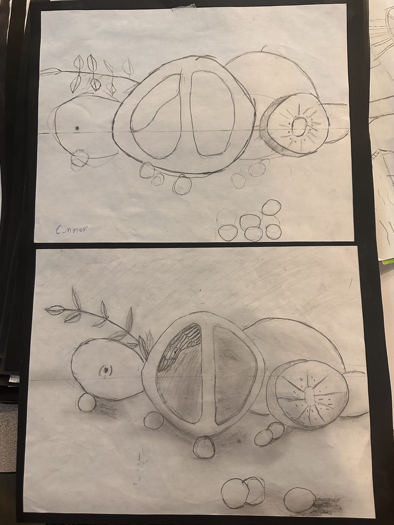 6th grade still life