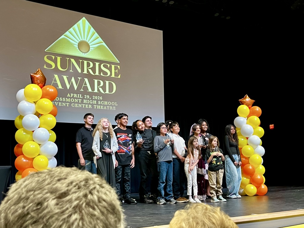 All the award winners