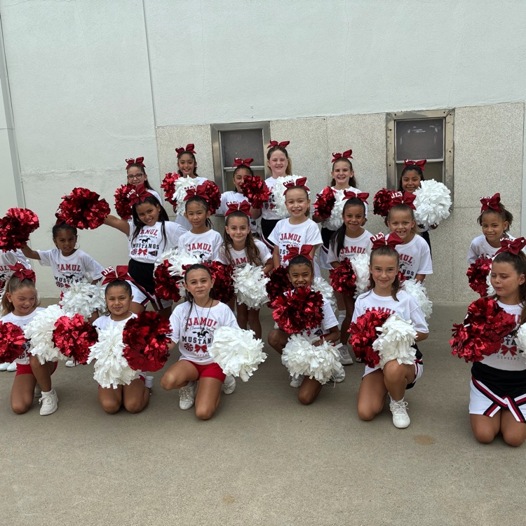 the cheer team 