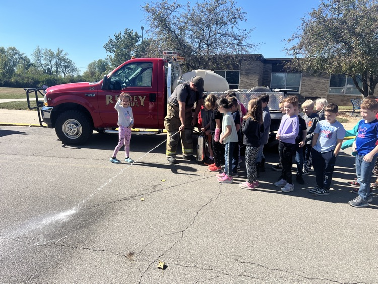 rfd5