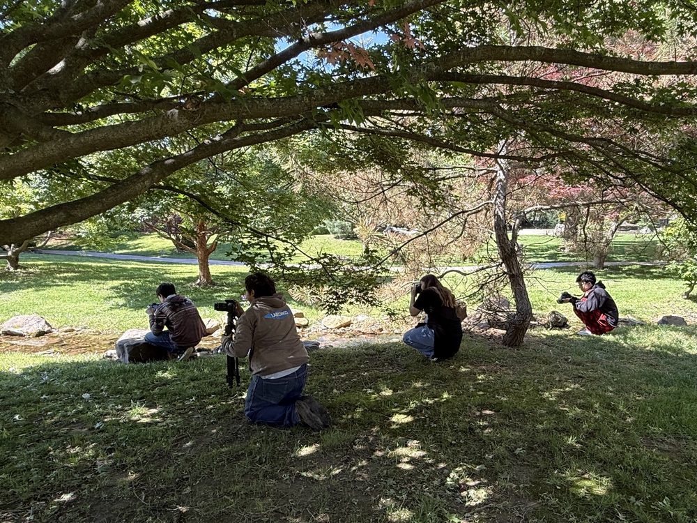 Photography Class at Mitzumoto Japanese Stroll Garden