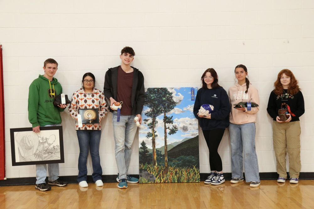 TRL Art Fair in Oswego