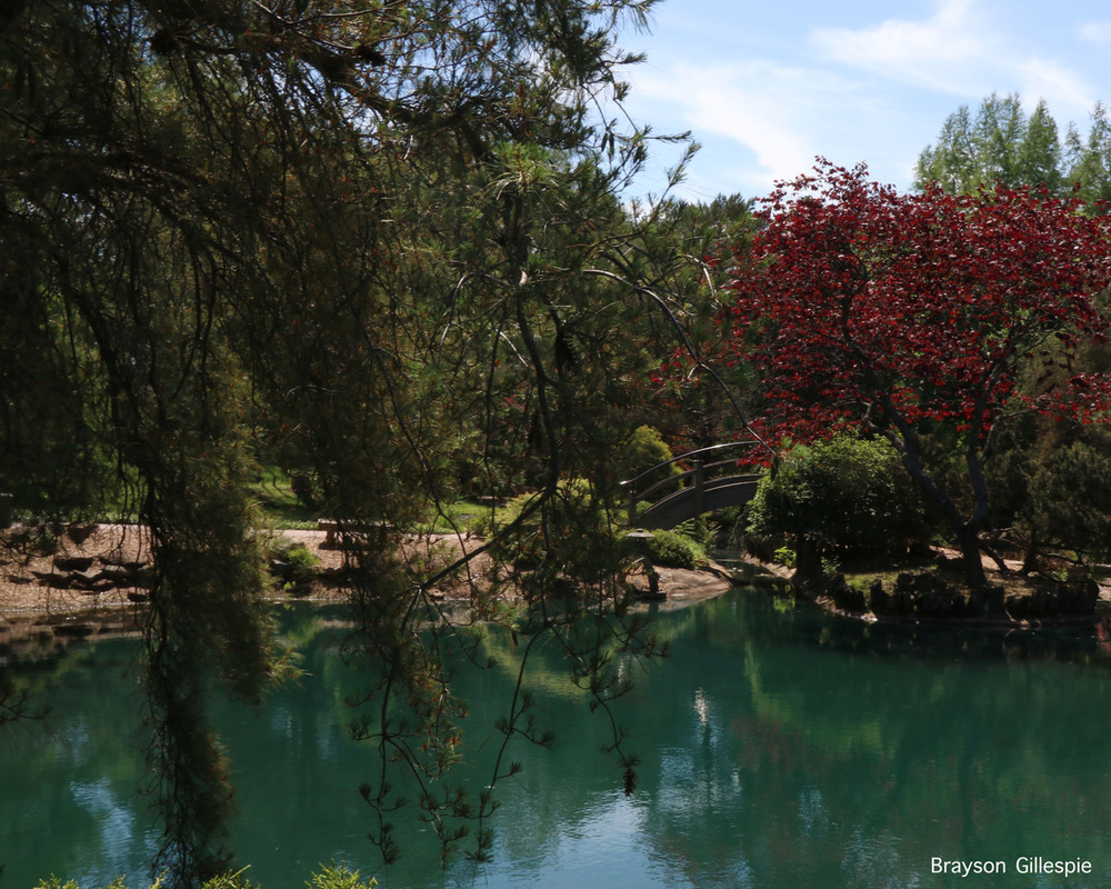 Here are some of the examples from the Photography Trip