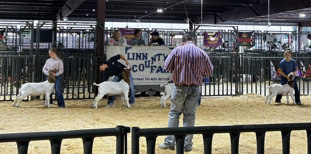 Addi Wadel, Denton White, and Lily Meyer