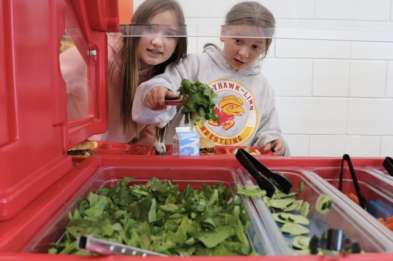 Look at all the lettuce