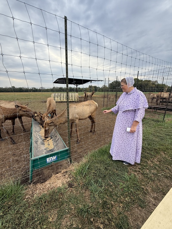 Family Elk Ranch