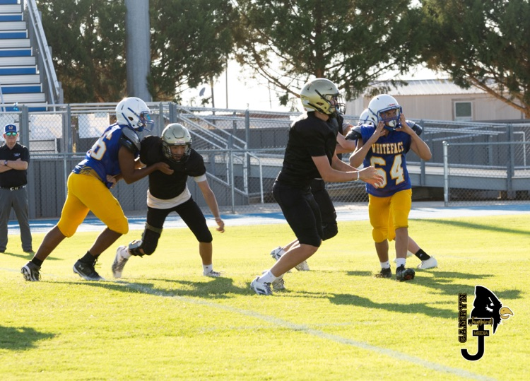 Jaybirds block to receive a pass