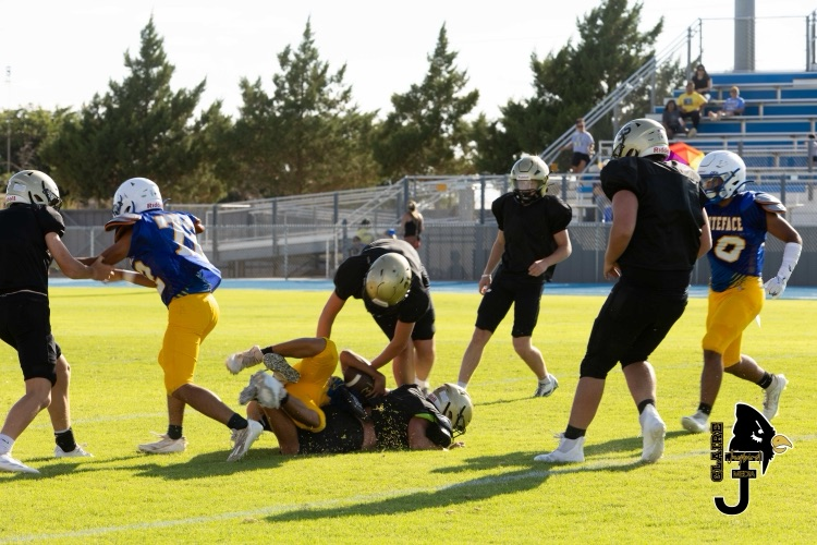 A Jaybird tackle