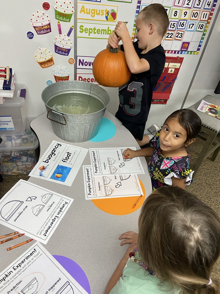 Pumpkin Fun in PK/K
