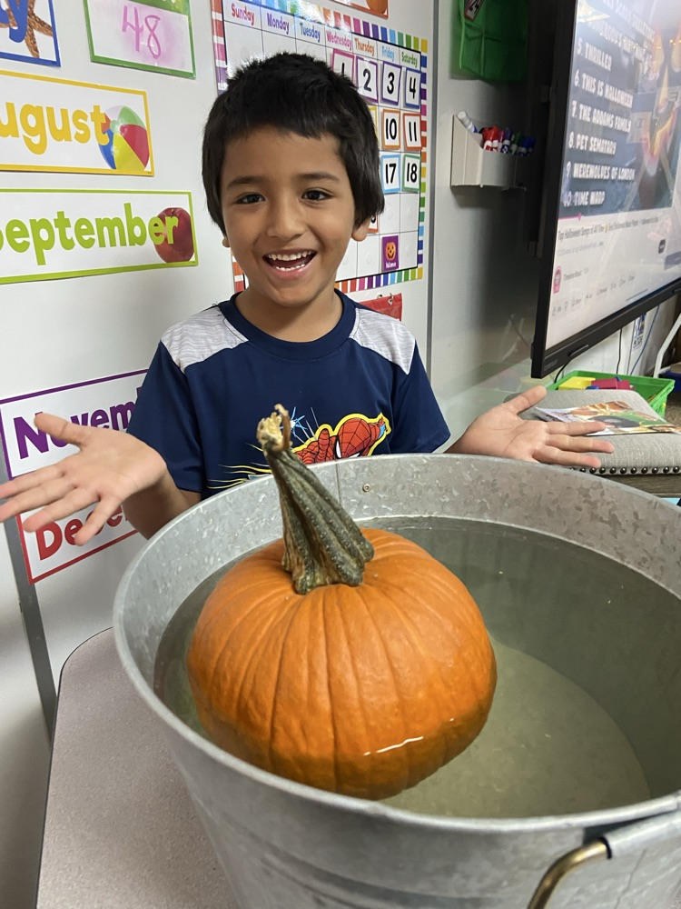 Pumpkin Fun in PK/K