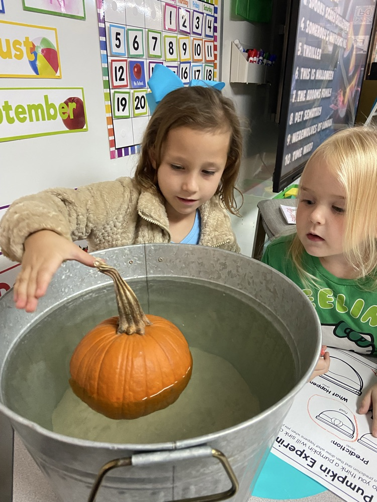 Pumpkin Fun in PK/K