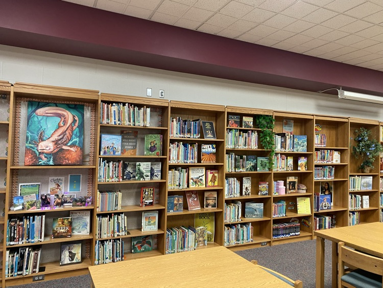 shelve