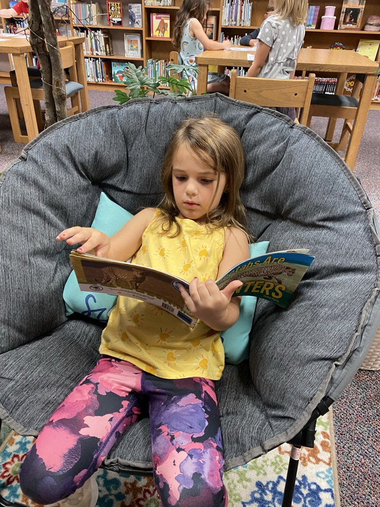 library 