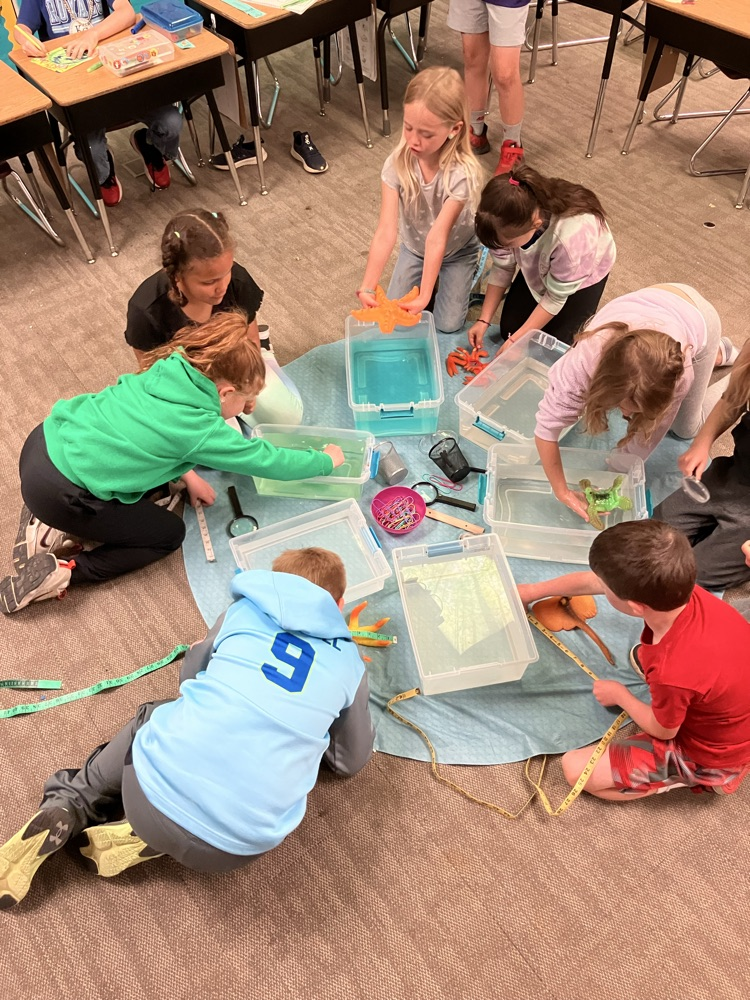 fun with sea creatures 