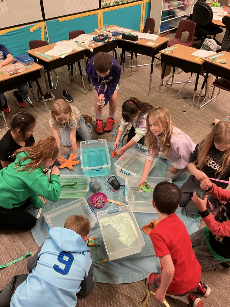 fun with sea creatures 