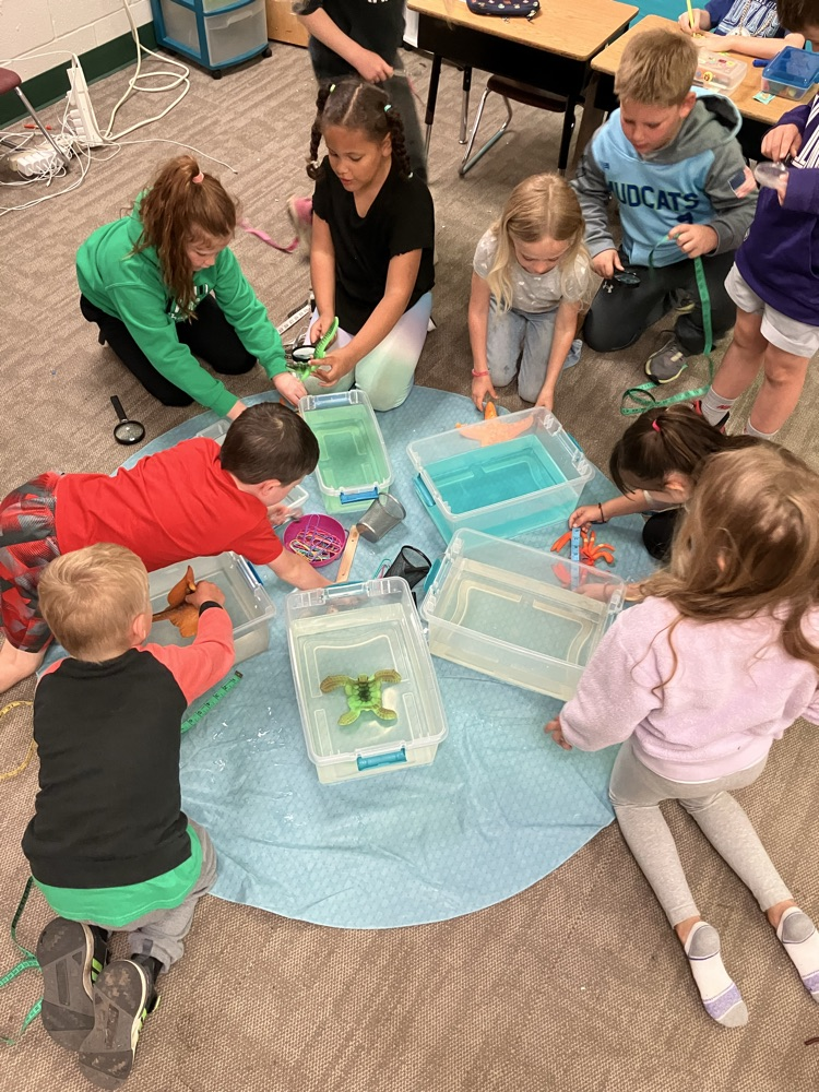 fun with sea creatures 