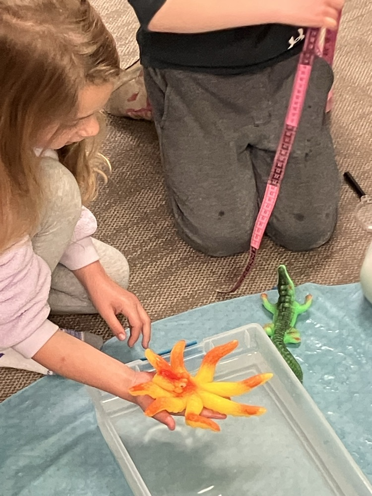 fun with sea creatures 