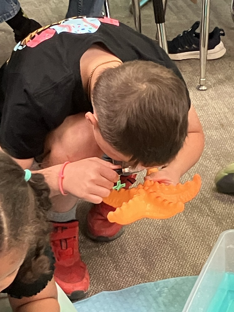 fun with sea creatures 