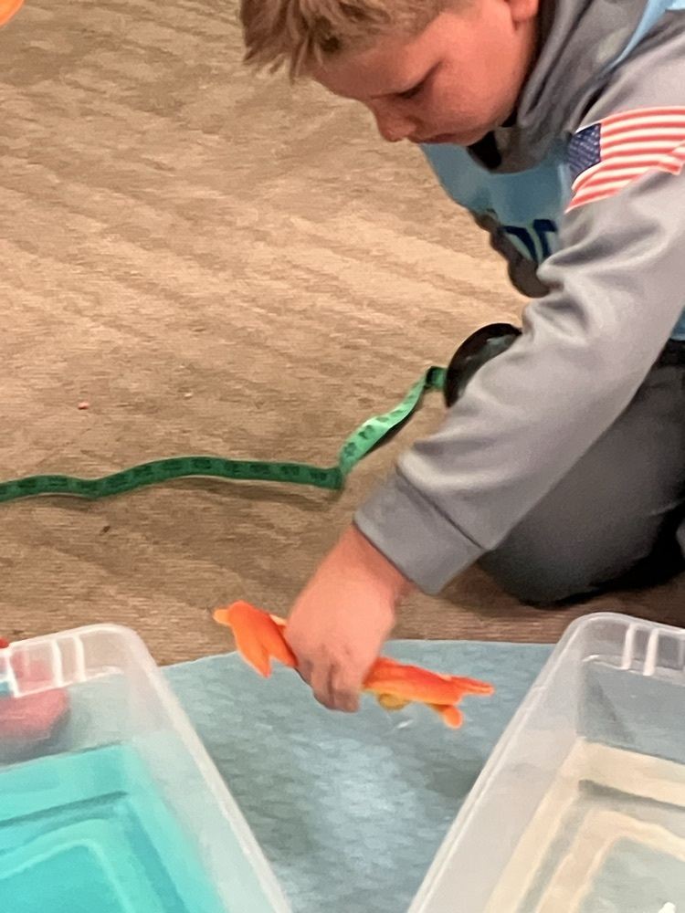 fun with sea creatures 