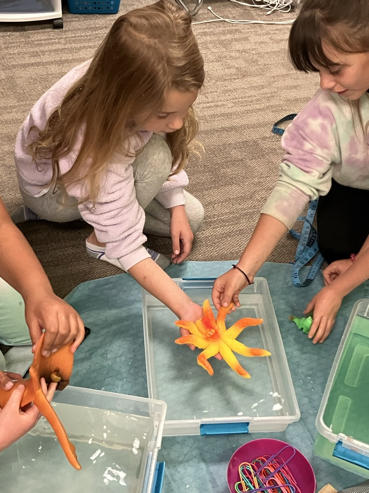 fun with sea creatures 