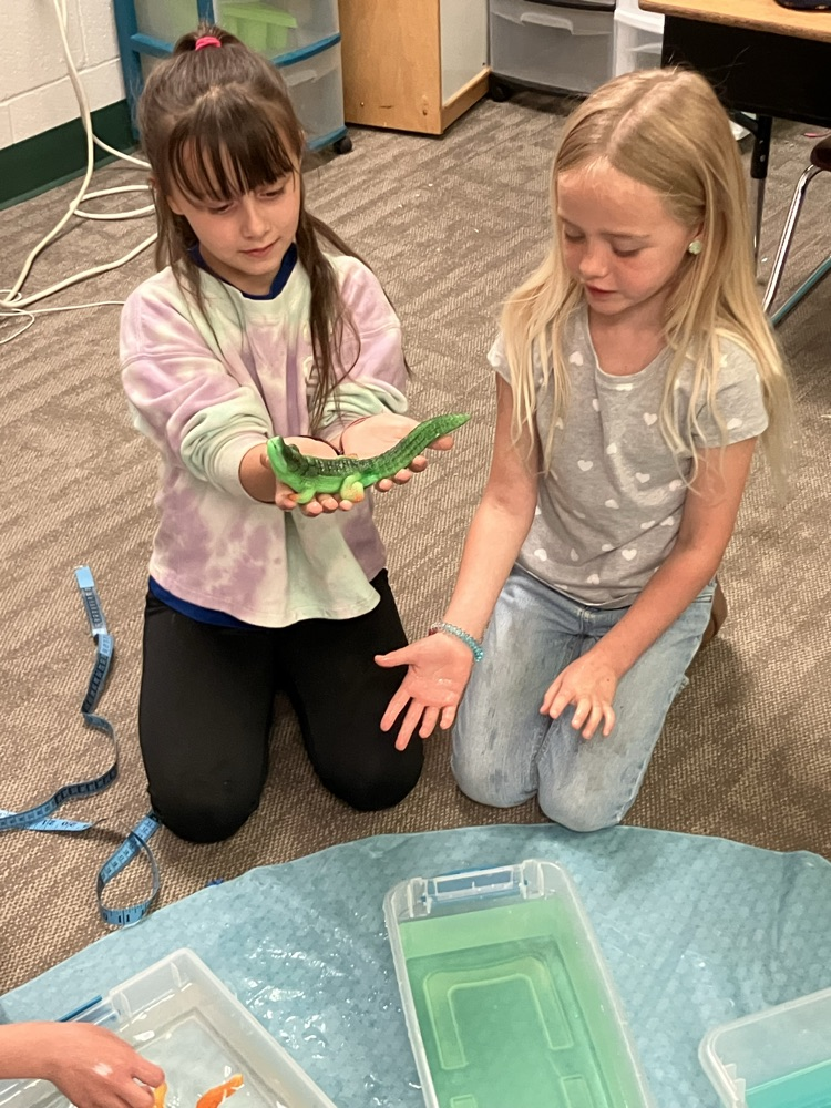 fun with sea creatures 