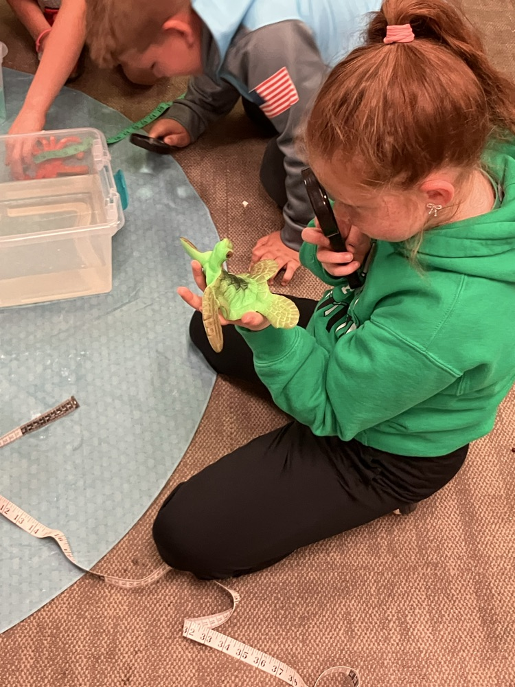 fun with sea creatures 