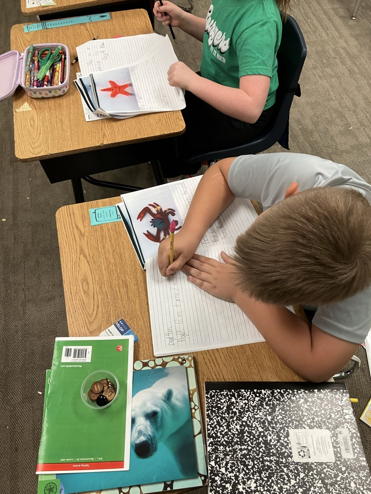 measuring sea creatures