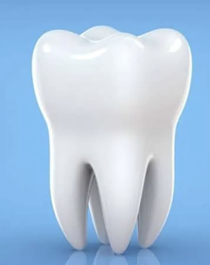 image of a tooth